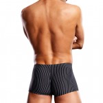 Blueline Performance Microfiber Pinstripe Trunk Sports Brief
